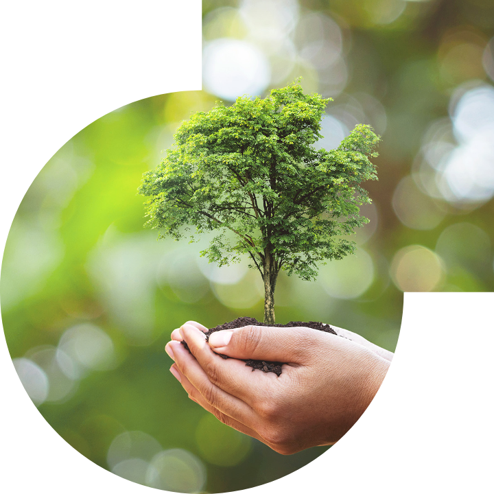 关怀人类、文化、环境与社会